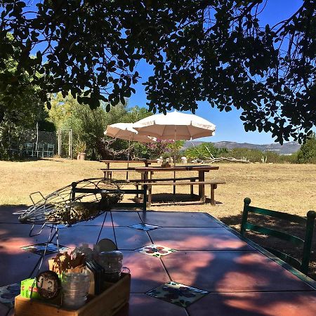 Shepherd'S Tree Backpackers 克尼斯纳 外观 照片