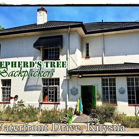 Shepherd'S Tree Backpackers 克尼斯纳 外观 照片