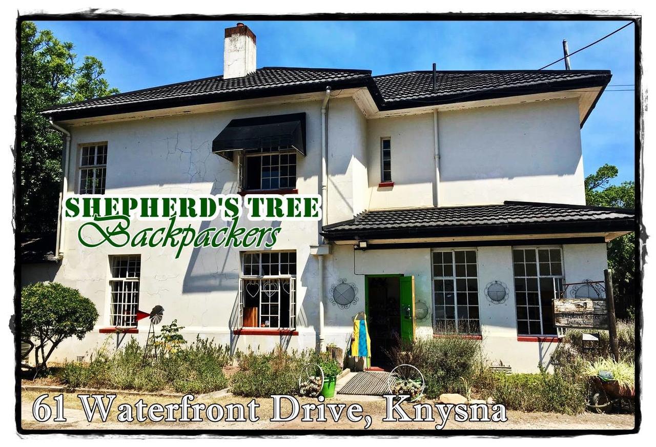 Shepherd'S Tree Backpackers 克尼斯纳 外观 照片