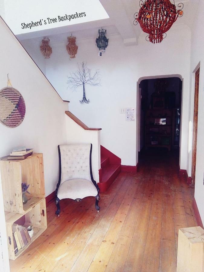 Shepherd'S Tree Backpackers 克尼斯纳 外观 照片