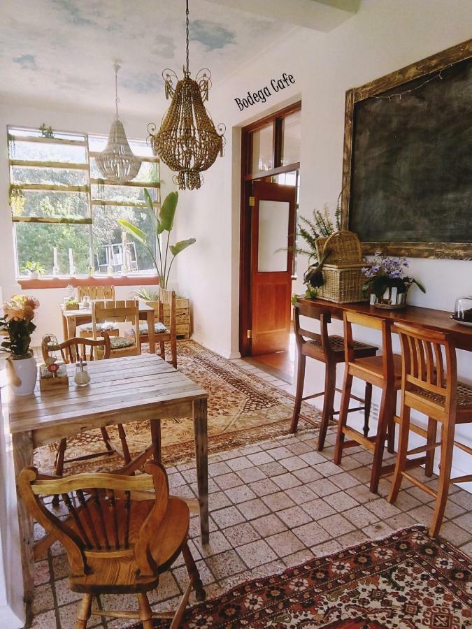 Shepherd'S Tree Backpackers 克尼斯纳 外观 照片